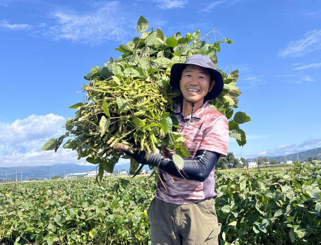 作物を収穫する様子